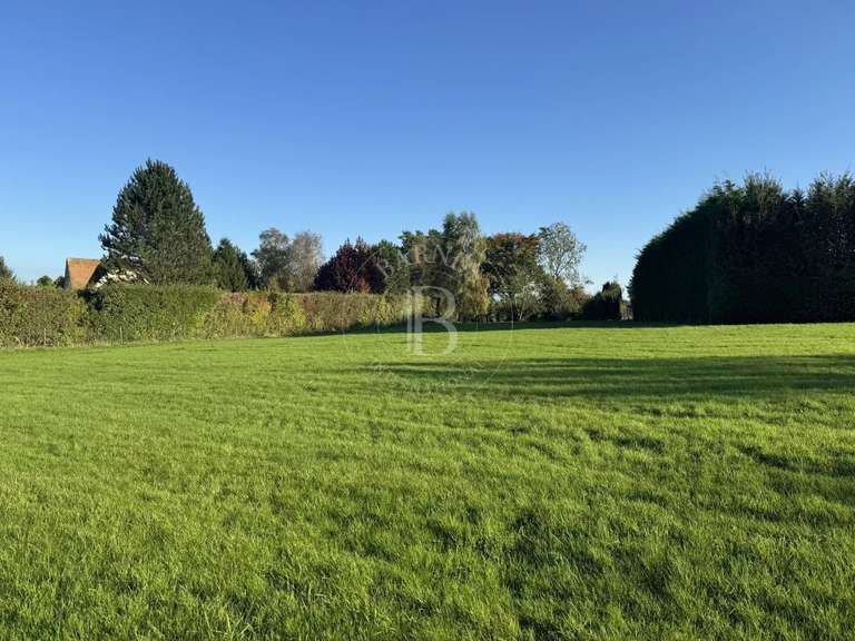 Maison Moyaux - 5 chambres - 250m²