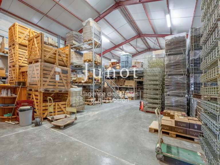 Domaine viticole Murs - 10 chambres - 73000m²