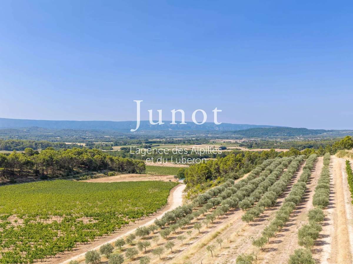 Domaine viticole Murs