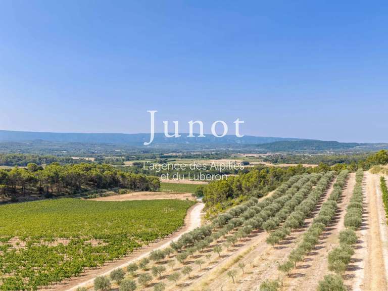 Domaine viticole Murs - 10 chambres - 73000m²