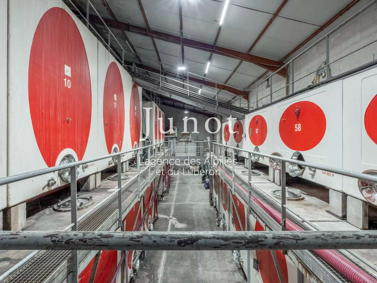Domaine viticole Murs