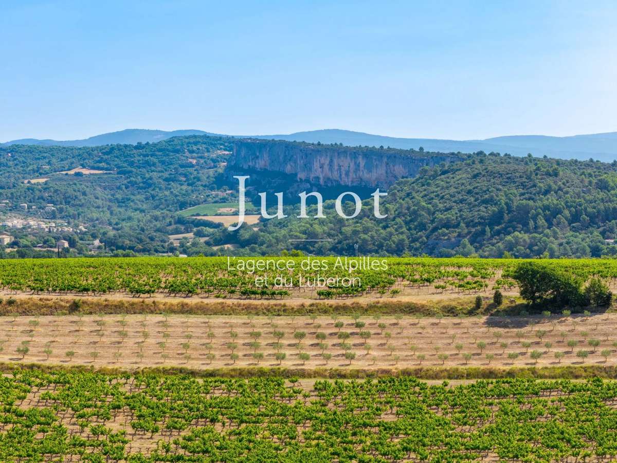 Domaine viticole Murs
