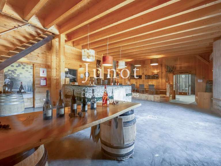 Domaine viticole Murs - 10 chambres - 73000m²