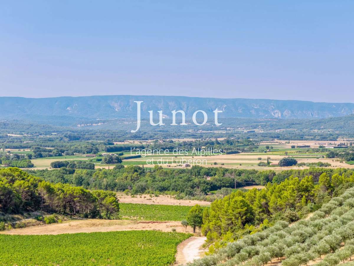 Domaine viticole Murs