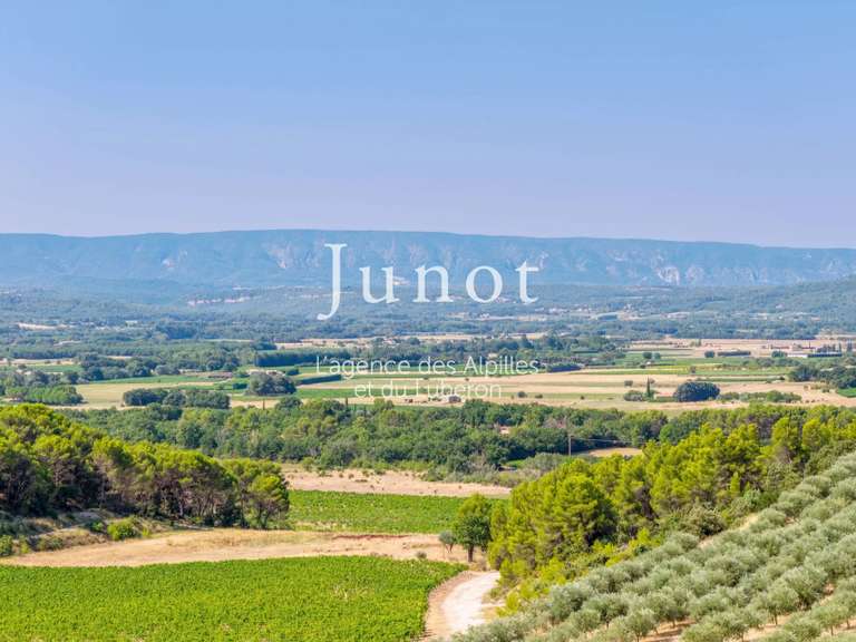 Domaine viticole Murs - 10 chambres - 73000m²