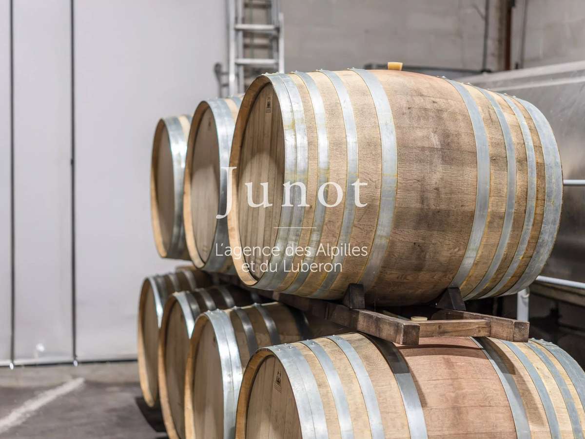 Domaine viticole Murs