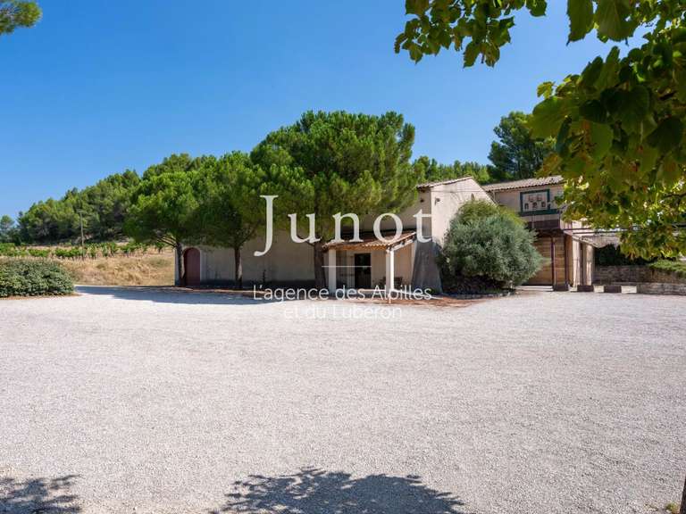 Domaine viticole Murs - 10 chambres - 73000m²