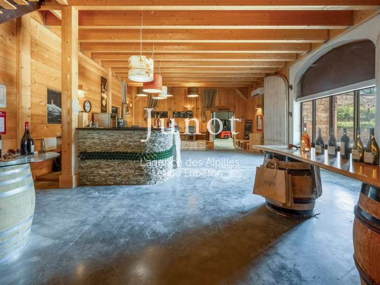 Domaine viticole Murs - 10 chambres - 73000m²