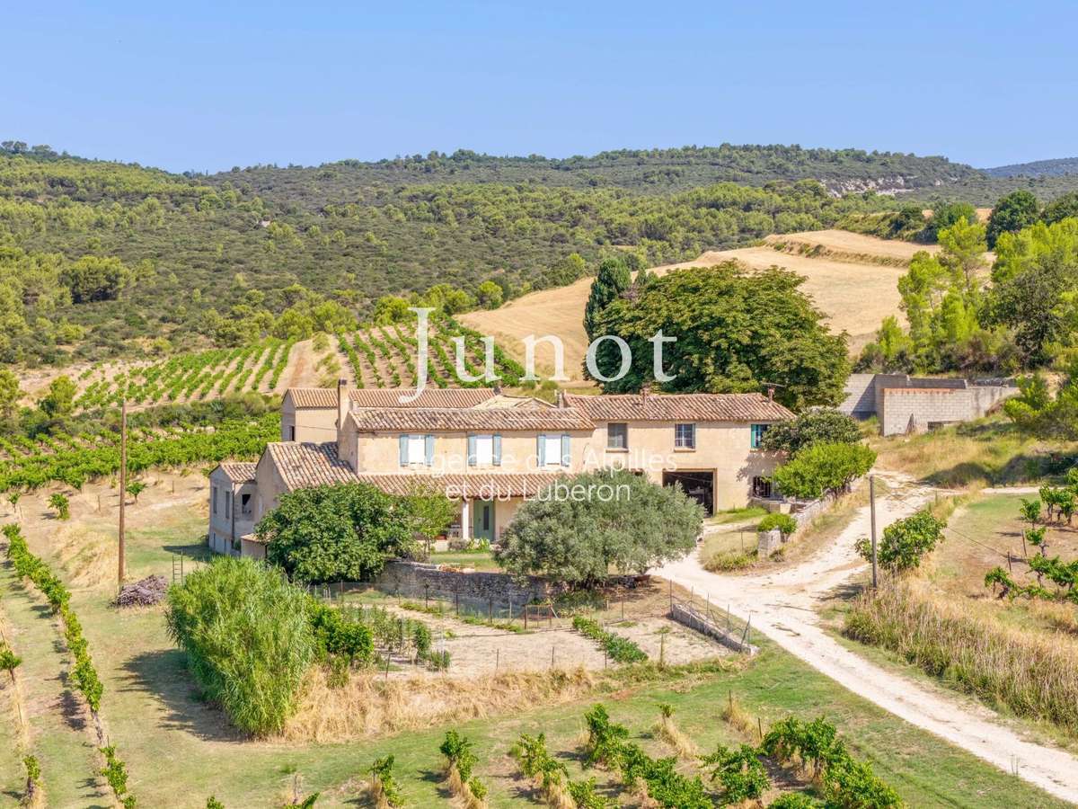 Domaine viticole Murs