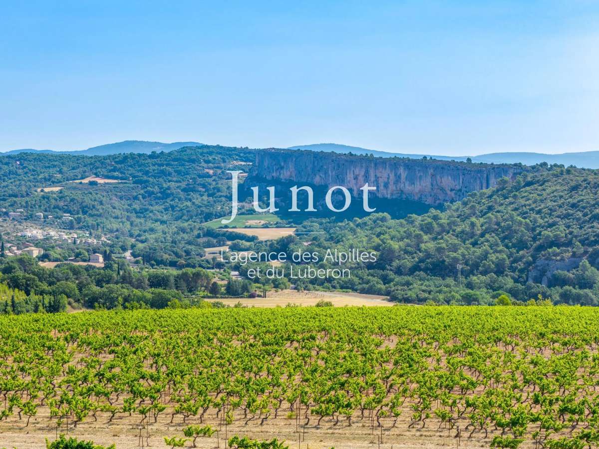 Domaine viticole Murs