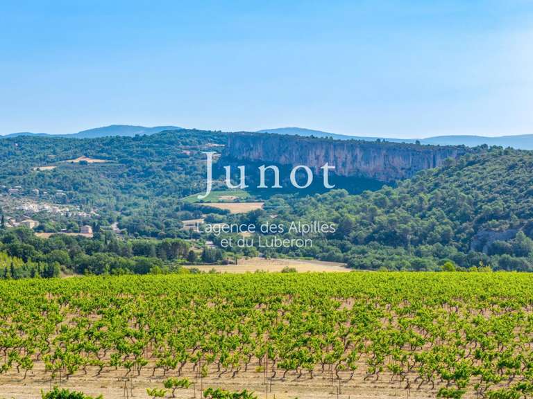 Domaine viticole Murs - 10 chambres - 73000m²