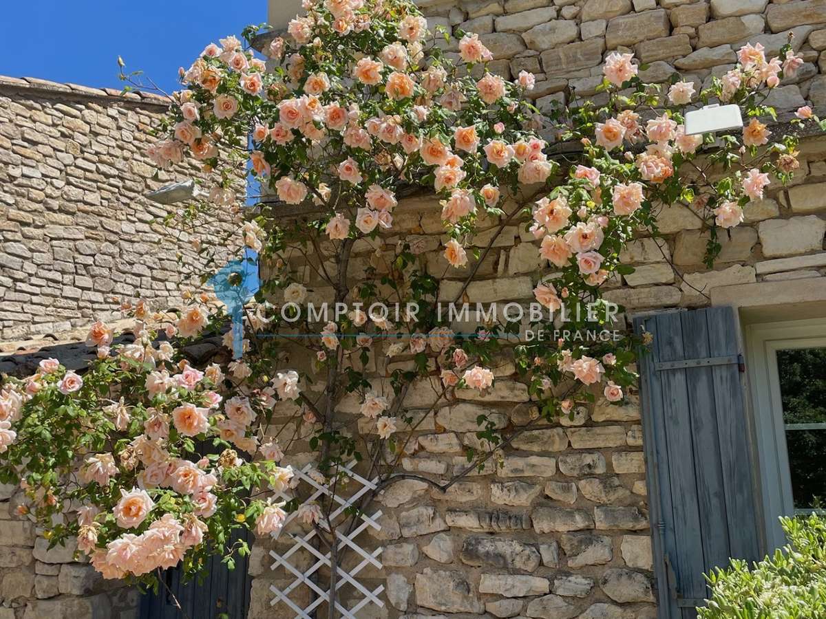 Maison Murs