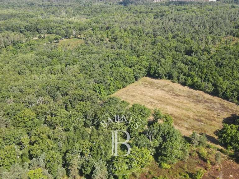 Propriété Nançay - 3 chambres - 210m²