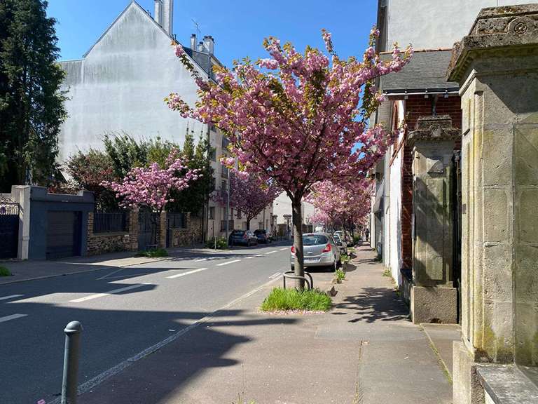 Apartment Nantes - 3 bedrooms