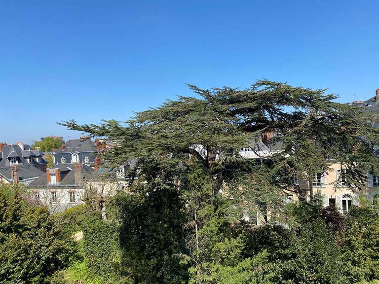 Apartment Nantes - 3 bedrooms