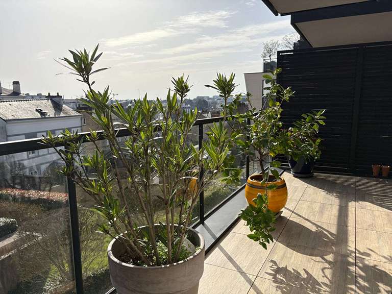 Appartement Nantes - 3 chambres