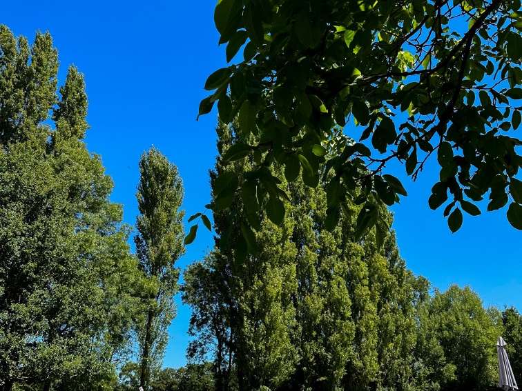 Château Nantes - 600m²