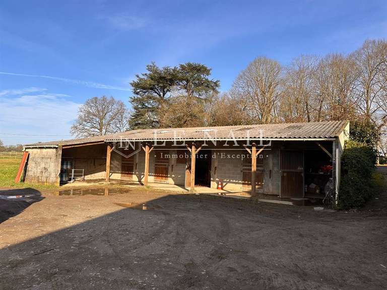 Château Nantes - 13 chambres - 700m²