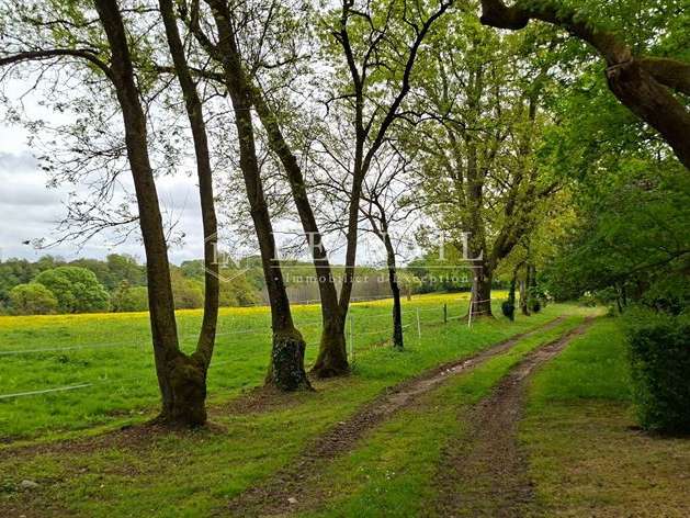 Castle Nantes - 13 bedrooms - 700m²