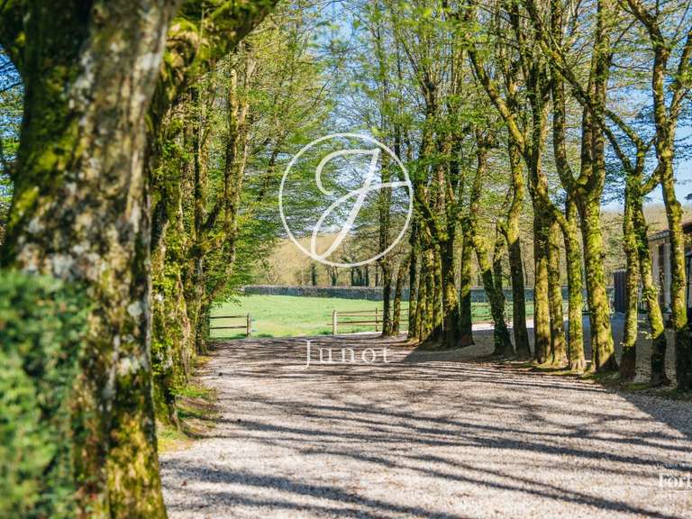 Château Nantes - 12 chambres - 2000m²