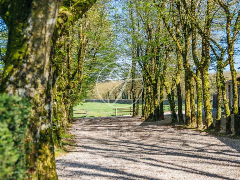 Château Nantes - 12 chambres - 2000m²