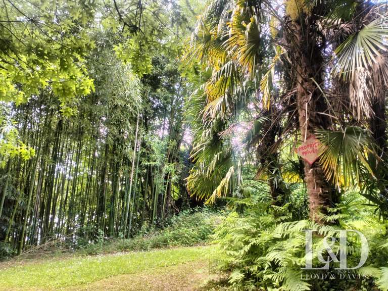 House Nantes - 9 bedrooms - 680m²