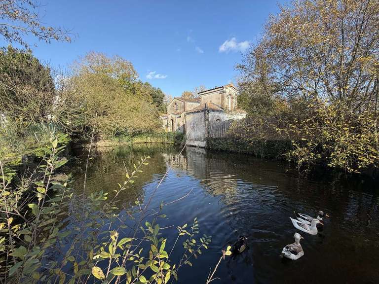 House Nantes - 3 bedrooms