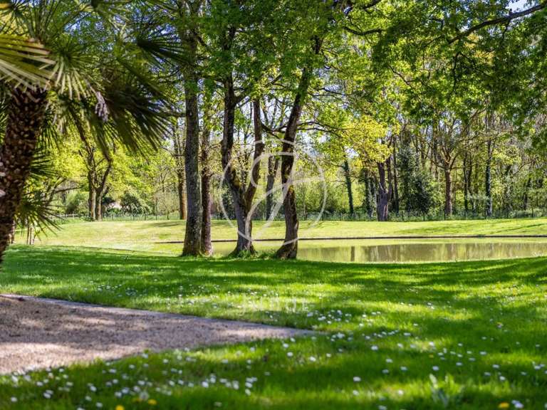 House Nantes - 4 bedrooms - 651m²