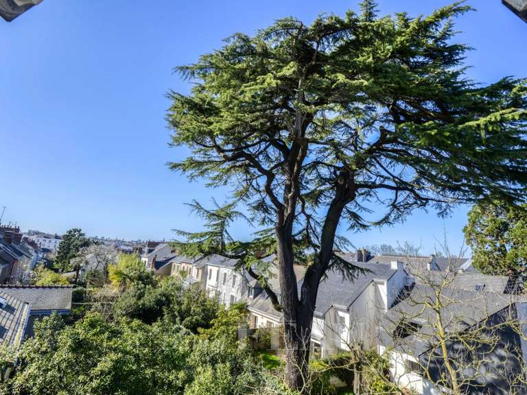 Maison Nantes - 6 chambres - 311m²