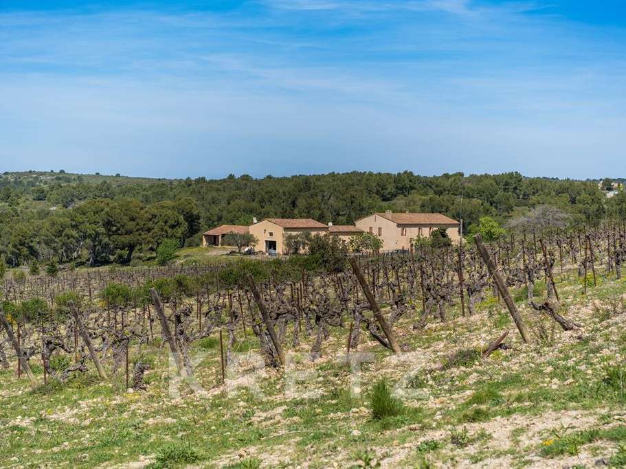 Domaine viticole Narbonne