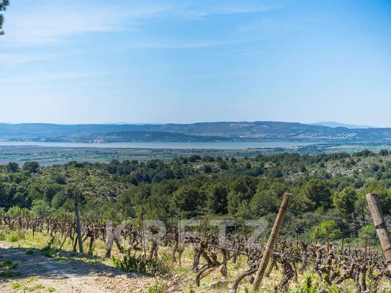 Domaine viticole Narbonne - 4 chambres - 300m²