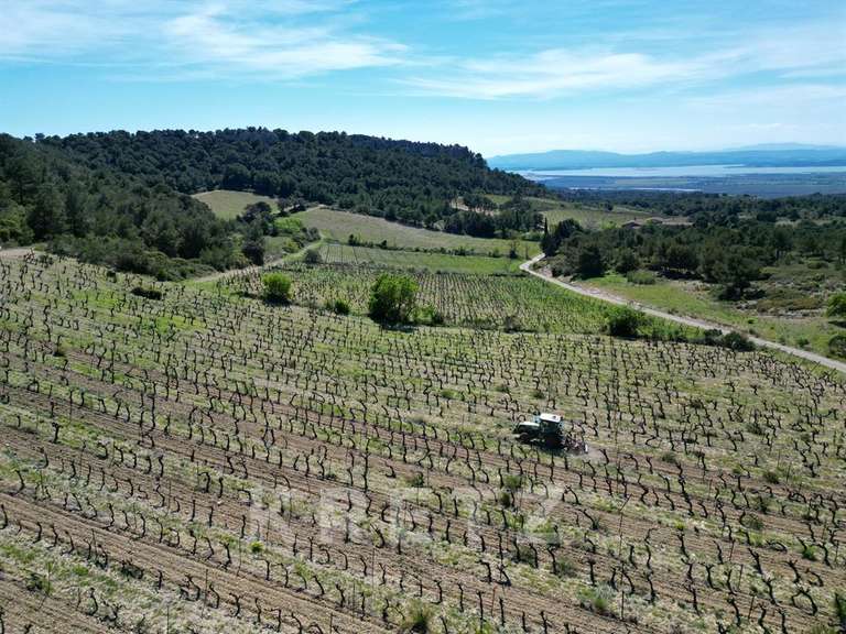 Domaine viticole Narbonne - 4 chambres - 300m²