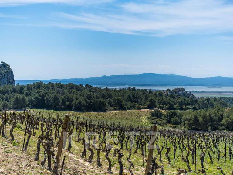 Domaine viticole Narbonne - 4 chambres - 300m²