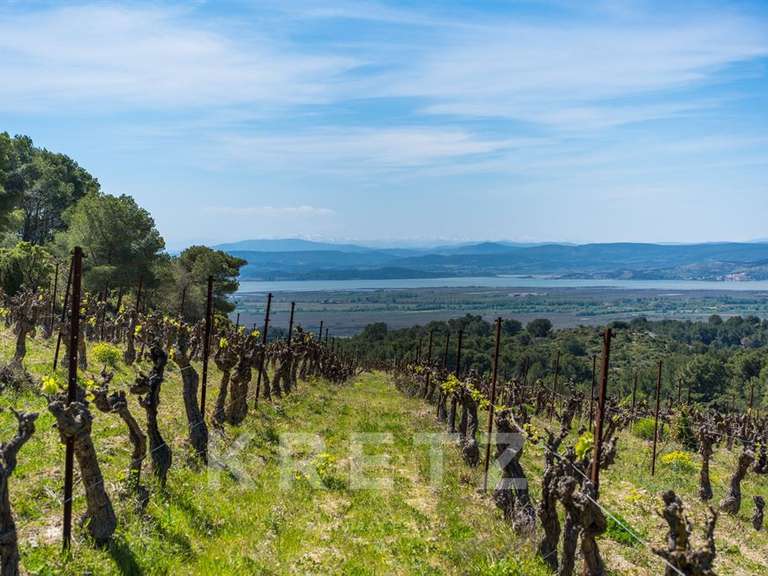 Domaine viticole Narbonne - 4 chambres - 300m²