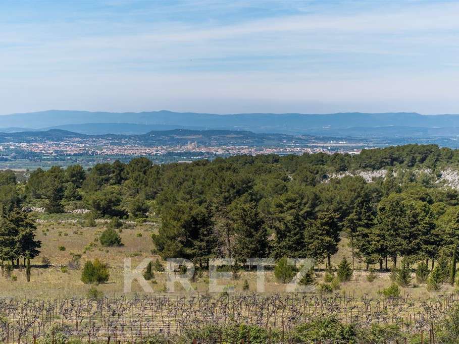 Domaine viticole Narbonne