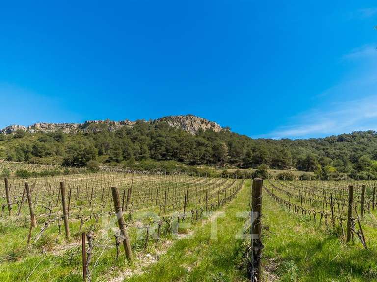 Domaine viticole Narbonne - 4 chambres - 300m²