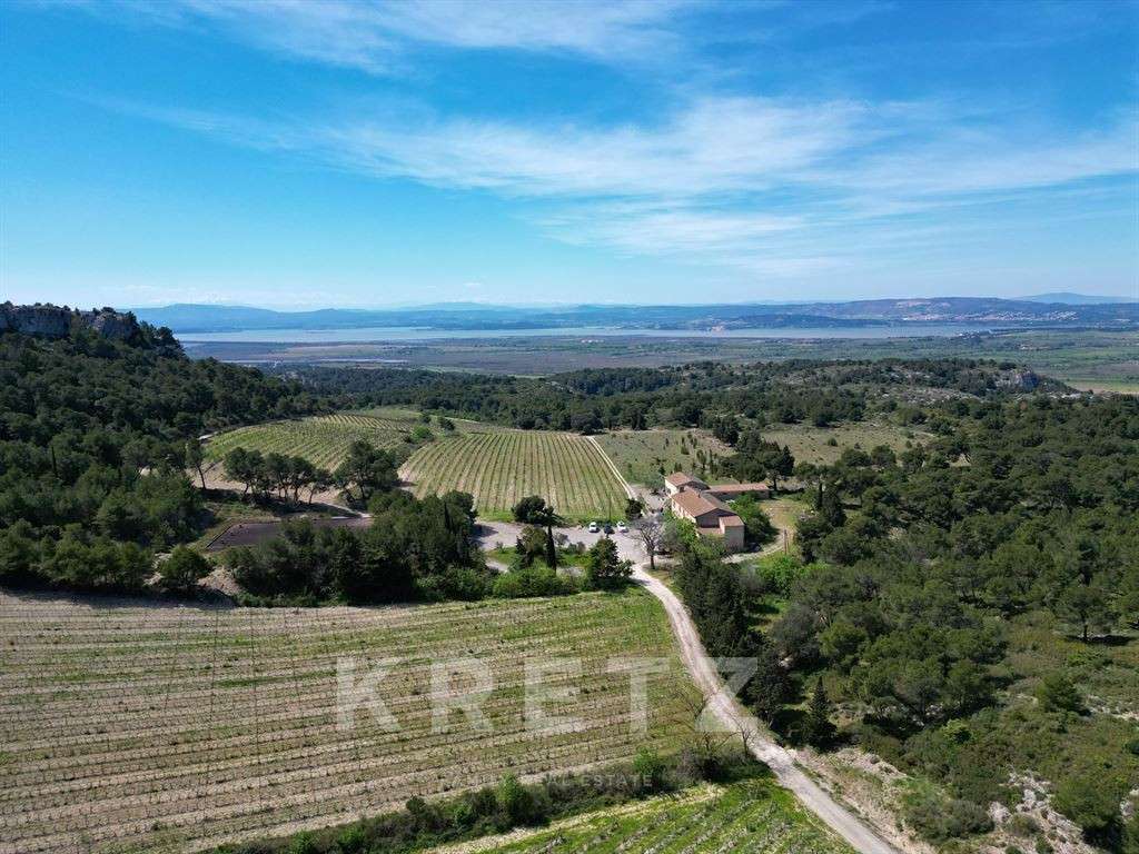 Domaine viticole Narbonne