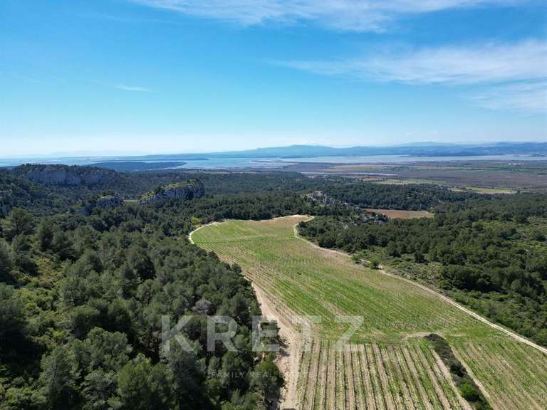 Domaine viticole Narbonne - 4 chambres - 300m²
