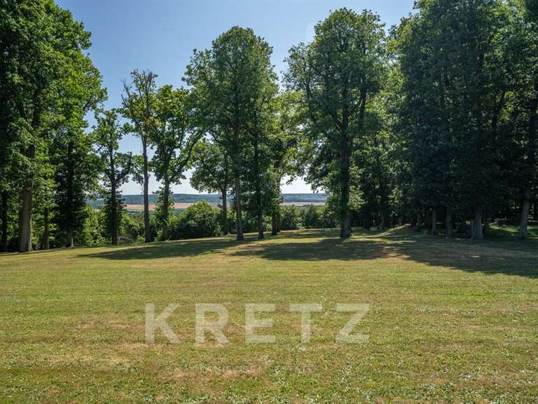 House Neauphle-le-Château - 4 bedrooms - 270m²
