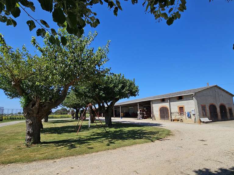 Maison Nègrepelisse - 9 chambres - 214m²