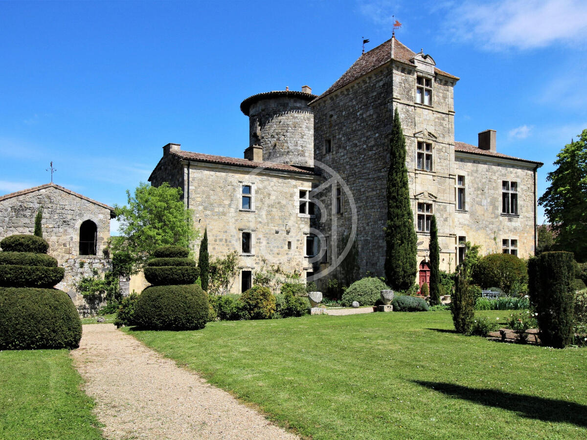 Castle Nérac