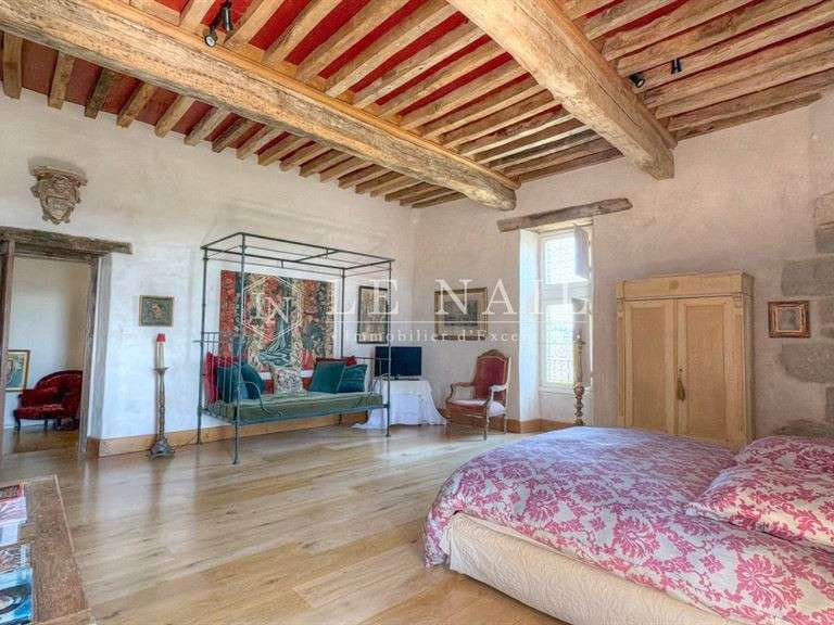 Château Nérac - 4 chambres - 340m²
