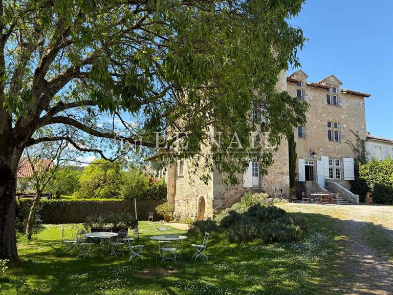 Château Nérac - 4 chambres - 340m²
