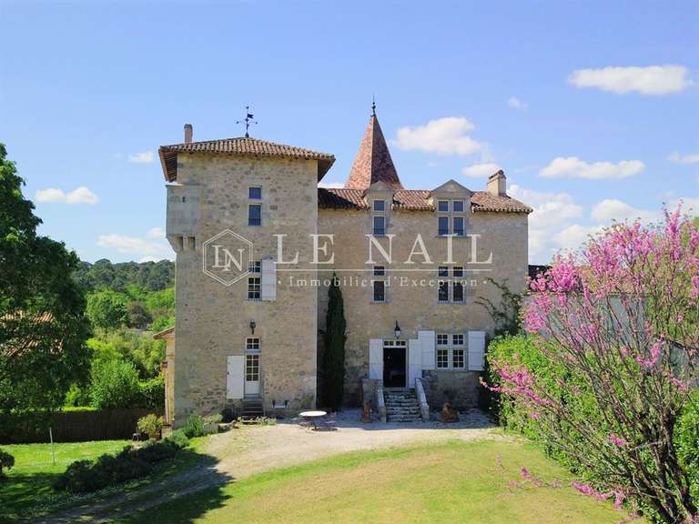 Château Nérac - 4 chambres - 340m²