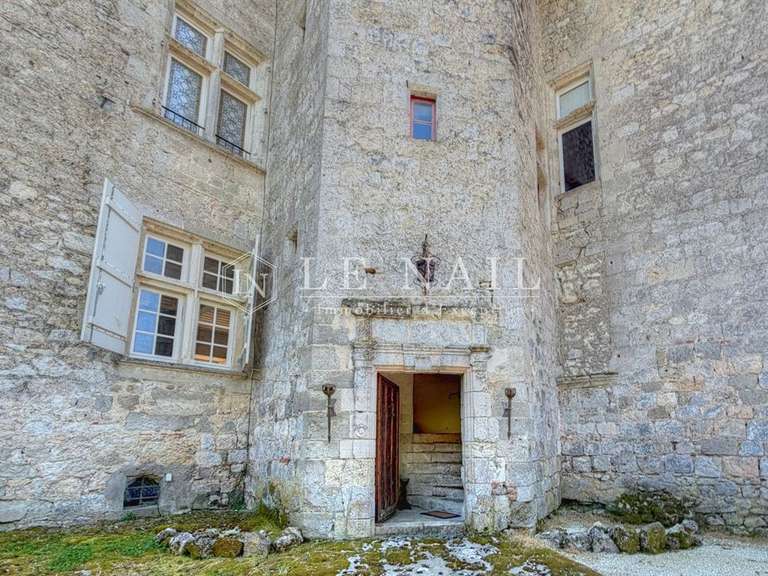 Château Nérac - 4 chambres - 340m²
