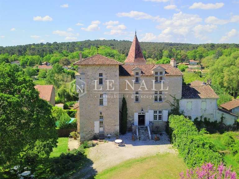 Château Nérac - 4 chambres - 340m²