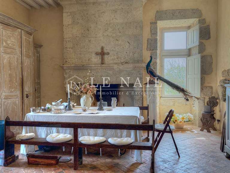 Château Nérac - 4 chambres - 340m²