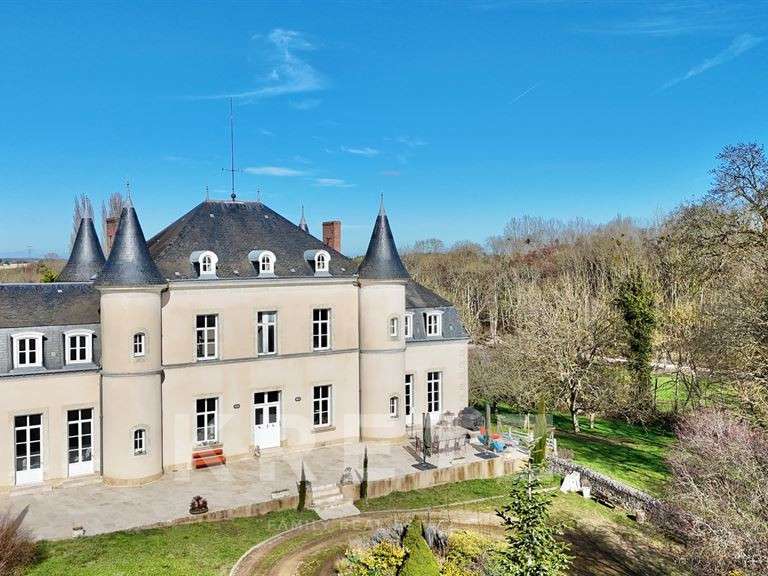 Castle Neuillé-Pont-Pierre - 5 bedrooms - 420m²