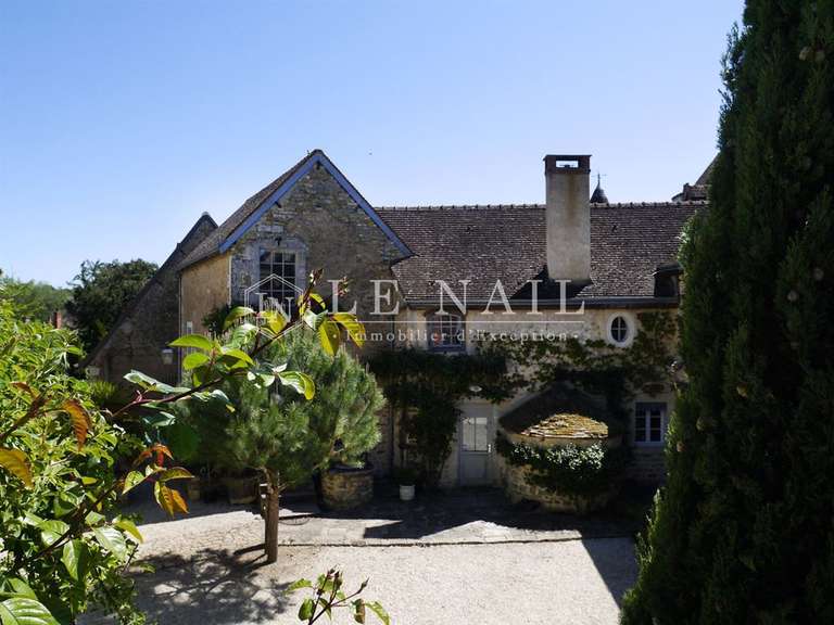 Maison Neuvy-Saint-Sépulchre - 3 chambres - 335m²