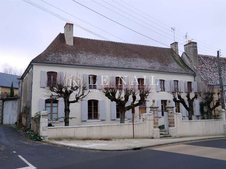 Maison Neuvy-Saint-Sépulchre - 3 chambres - 335m²